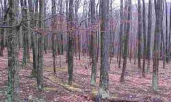 Nice wooded lot with several building sites.Long road frontage with rolling to level ground.Be a beautiful home site.Nice timber land with nice views for building.
Listing originally posted at http