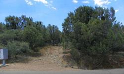 Build your home on this lot and enjoy outstanding views of the Town of Payson with the backdrop of the Rim. Utilities are to the lot line. The shed on the lot conveys. Corners are marked. The home directly to the east is for sale and can be purchased with
