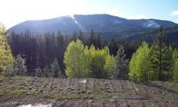 Beautiful views of surrounding mountains, jus t6 miles from Colville! County Rd frontagge for easy access, Meadow, Aspens, views, pasture, trees, property, corners marked, driveway approach with culvvert placed, building site excavated. Water line located