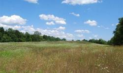 Located in Westdale, NY, on a town road 10 minutes from Camden, this 22 acre parcel would make a scenic home site for someone who loves the country or a great building spot for a recreational camp. The land is a mix of mature hemlock forest and rolling