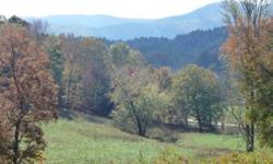 This Amazing Mountain Acreage has it all. Expansive Views, Creek, River, and Pasture. 332 acres of pristine property with National Forest Land on three sides. Elevations up to 2500 feet, over 12,000 feet of mountain streams, 30 acres of open meadows,