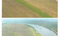 1477 acre row crop farm at the Tennessee River in Perry County, TNExcellent deer, duck and turkey hunting$3600.00 per acreContact Bluewater Equities (901)832-0707 for more information
