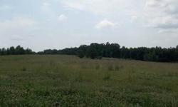 3 pastures for sale in Clay County. 42 acres on Stanford Circle. Great pasture land ready for livestock with 1357 ft road frontage and a nice creek. Property has been surveyed. 144 acres on Broken Wheel Rd. Property is fenced with Hall Creek running