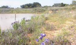 *CORNER LOT! *WATER AND ELECTRIC ARE AT THE ROAD! *$35,000 CASH or $40,000 owner finance! Nice acreage just outside of brownwood, texas. about 1.5 hours to abilene, about 3 hours to dallas. nice central texas land looking for a place to build? green acres