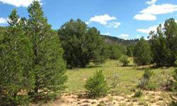 Rarely do you find land for sale along HWY. 53. There are commercial businesses in the area, El Morro National Monument is less than a mile away. The area is grassy, some Malpais rock, pinon pine and juniper trees. It is relatively flat with views of the