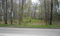 Town of Wilson wooded lot for sale. This parcel is just under 1 acre and offers seclusion and privacy. Lots like these are rare and a great opportunity to build your dream home!
Listing originally posted at http