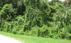 Vacant lot in north west Deland, Secluded area of large estate type homes. rare opportunity to build your dream estate in the country but still be close to town & main highways.Listing originally posted at http