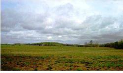 100 +/- acre cattle farm, fenced, cross fenced, 2 ponds. Exceptional farm for the moneyListing originally posted at http