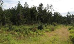 This 142 acre tract is located along Highway 21 N in Newington, GA. The land features a significant amount of mature timber throughout the tract which is ready to be harvested. The tract boasts approximately 3,969.4 feet of railroad frontage through the