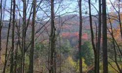 Approximately 3 acres (+ or -) Possible 2 building sites - wooded - creek - access to property from state road - views - well and septic needed - portion of above Deed Book/Page and PIN #
Listing originally posted at http