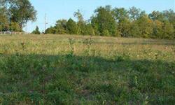 Great one acre restricted building lot near Jessamine Gorge in secluded rural subdivision. 15 minutes to Nicholasville. Lot lays well. Development is surrounded by 130 acres of woods and creek which is a permanent nature preserve. This is the place to m