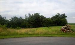 1.4 acre lot in a country living cul-de-sac. Great view of the mountains. Bring your own builder! Call for deed restrictions.Listing originally posted at http