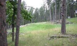 PRICE REDUCED!!! 2.68 acres of pure Black Hills beautiful land. Beautiful, quiet lot in Alice subdivision. Metal shed on property stays. Septic system was started but not finished. Septic system parts stay. This property listed for sale with licensed