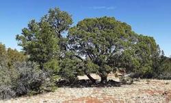 Lot 55, Shadow Rock Ranch -- just a few miles south of I-40 between Kingman and Seligman, AZ. Lot is heavily wooded and has soft soil and few rocks. The elevation is over 6,000 feet above sea level making a cool escape. Build your GETAWAY or secluded home