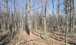 13 acre potential home site or use for hunting/recreation. Owner has used for hunting for several years. Makeshift hunting building on property. No well, No septic. Treed with some trails.
Listing originally posted at http