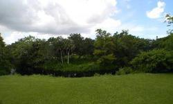 1.6 acres on the Imperial River + an additional 3 acres are available! Enjoy peace, quite, and wildlife (manatees, river otters and more) from this very private Bonita Springs location at the end of a cul-de-sac street. The 2000 sq/ft, 3 bed, 3 bath, 2
