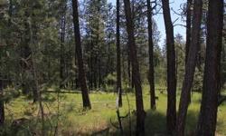 Private moderately treed acreage with underground power and phone at property line. Area of nice homes with good local wells, view of enormous beaver pond. Quiet neighborhood, lots of wildlife. Year round access on county maintained gravel road. 40 minute
