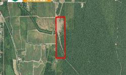 120 acres pasture, hunting land and home site potential in Monroe area. Great hunting property with home site potential in South Monroe. The north 40 acres, which features improved pasture and fencing, could be rented for livestock or used as a home site.