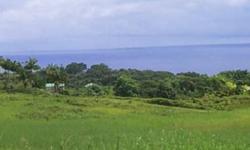 Panoramic mountain, ocean and Hilo Bay views from this large acreage eight miles north of Hilo. Easy access off Mamalahoa Highway onto private gravel road to parcel. Property sits on high ground with several potential house sites with palm trees and