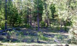 Grandeur & awe fill the senses as you peek between canyon outcroppings along the winding Wickiup Creek to find sprawling mature stands of pine & red fir. With gurgling Wickiup Creek still by your side this very private 317 acres is inhabited by elk, deer,