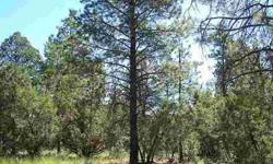 This is the ideal spot to place your new mountain cabin or manufactured home, located on a level .50-Acre parcel. Reasonably priced & heavily treed with tall pines & junipers. Water & power to lot line. Dont wait; this place is waiting for your new home.
