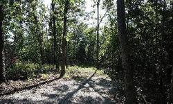 An almost flat Lakefront lot in a good neighborhood of fine homes. Partially cleared & perfect for a year-round/vacation/get-away with mature trees still bordering the lot. The soils test is completed & the septic system has been designed.Listing