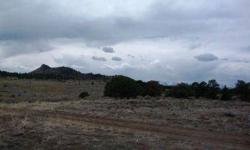 3.32 ACRES OF POSSIBLE HORSE PROPERTY OR BUILD YOUR OWN HOME WITH GREAT MOUNTAIN VIEWS.
Listing originally posted at http