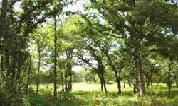 Oak Hollow Estates 4-Acre Lot. Plenty of mature oak trees. Prime lot in located near cul-de-sac minimal traffic. Oversize lot for community. Great place to build your custom home.Listing originally posted at http