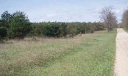 Want to farm? This 24.5 acre parcel has been mostly cleared in the middle so it wouldn't take much to prepare for crops. About 10 of the acres are pine and located around the perimeter of the property providing privacy from neighboring properties. This