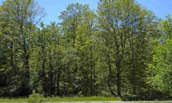 4.32 acre parcel w/mature hardwoods at roadside. Meadow views across the private drive.