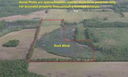 80 acres of which 45 are tillable and 10 are in timber. Near the Big Muddy River and Orient Bottoms, located on Yellow Banks Road, halfway between Benton and West Frankfort, Illinois. An excellent duck hunting location as it is in a natural fly area.