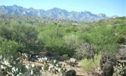 BEAUTIFUL 1 ACRE BUILDABLE LOT NESTLED IN THE GENTLY ROLLING HILLS OF CATALINA. ENJOY THE MOUNTIAN VIEWS, LUSH VEGETATION AND ABUNDANT WILDLIFE.WATER, ELECTRIC AND TELEPHONE AT LOT LINE. LOOK FOR BLUE STAKES AND FOLLOW THEM TO THE TOP OF THE RIDGE FOR THE