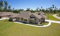 GORGEOUS NEW CONSTRUCTION IN BEDICO CREEK. FEATURING A FORMAL DINING ROOM, GREAT ROOM WITH FIREPLACE, LARGE KITCHEN OPENS TO KEEPING ROOM AND BREAKFAST AREA, LOTS OF WINDOWS KEEP THIS HOME BRIGHT AND CHEERY, DRAMATIC HALLWAY WITH PINE CEILING LEADS TO THE