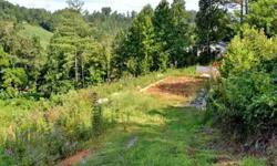 Doublewides and modular homes allowed! Very nicely maintained small development of manufactured and modular homes. Large spacious lots in this neighborhood. Country living and 20 minutes from downtown Asheville. Lot has already been graded with shared