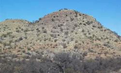 20 ACRES JUST WEST OF TWIN PEAKS BY PAPALOTE WASH. LOCATED IN RURAL ARIVACA AREA. GOOT HUNTING AREA NEAR LOTS OF GOVERNMENT LAND.Listing originally posted at http