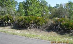 BEAUTIFUL HIGH AND DRY five ACRE LOT MINUTES FROM ST. JOHNS RIVER ON PAVED ROAD. SURVEY AVAILABLE. PERFECT FOR HORSES. PERFECT FOR PEACEFUL SERENE LIVING. IDEAL SPOT FOR YOUR DREAM HOME.Listing originally posted at http