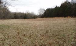 6.72 level acres with a creek running at the rear of the property. Modular or manufactured is OK. (No single wides) Shed. 711 feet of road frontage, pasture and woods. Nice building lot. Land perked for septic already. Grandview Schools!
Listing