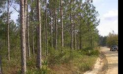 FOR MORE INFORMATION OR SHOWING CALL OR EMAIL debbieroneysmith@embarqmail.com. This Wooded High and Dry lot is located a short distance off Hwy 231 just outside the City Limits of Fountain, Florida in Bay County. Growth is expanding all throughout Bay