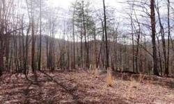 Here is one of the best subdivisions in Young Harris, GA. Very close to Brasstown Valley Resort & Young Harris College. Gentle lots, easy to build on, good access and great views. Come and take a look at these great lots located in a beautiful