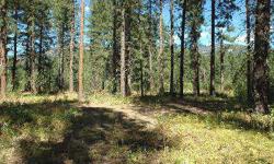 Super Affordable and one of the BEST parcels in this Mazama community. Surrounded by Open Space with views and great conifers, with nice sunlight due to its location on the north side of Liberty Woodlands. Very close to trails and all Mazama recreation.