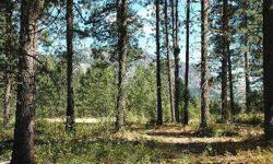 Super Affordable and one of the BEST parcels in this Mazama community. Surrounded by Open Space with views and great conifers, with nice sunlight due to it's location on the north side of Liberty Woodlands. Very close to trails and all Mazama recreation.