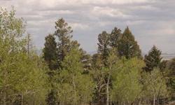 Incredible 3.0 acres with well. Covered in Aspen and Pine Trees. This is located at top of Blacksmith RD. Great building site for Custom home
Listing originally posted at http