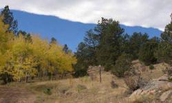 Nice building lot in Cristo Vista. Aspen trees and great views. Like owning your own campground! Come enjoy the wildlife and majestic mountains. Owner will carry this property with great terms and a small down. Call Ken for details
Listing originally