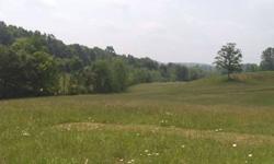 Property slopes with meadows, some woods and open fields. Great place to build no restrictions
Listing originally posted at http