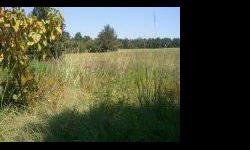 Beautiful 5.78 acres available for building your dream home. 1800 ft deep from the road to the back of the property. This gives you several great bldg.sites at the back of the property. Covington County taxes and Sumrall schools. Survey on file.Listing