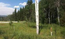 Build a dream home in charming mccall. Inspiring views of the mtns and mccall golf course.