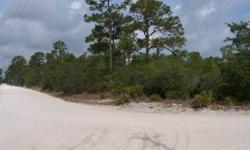 High Dry Acreage just off of Henscratch. Natural Florida habitat. Lots of trees, Pines and Scrub Oaks. Great Place for a mini estate. Zoned Agriculture. Property Corners Country Lane w/ 450 on County Lane and 550 ft on Eden lane. Also available for the