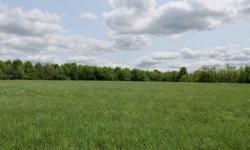 NEW YORK FARMLAND FOR SALE with OWNER FINANCING ----- Country acreage with ideal mixture of farmland, mixed woodlands and apple thickets, and with tons of wildlife! Frontage along a quiet year around country road with utilities available. Your neighbors