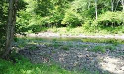Great lot to develop with electricity nearby and a driveway. Right on the North Branch of the Salmon River it is quiet and secluded. Great for snowmobiling, camping, picnics, hunting, hiking, and trout fishing. Fish right on your own property, a trout