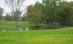 Beautiful pasture land with several ponds with several gorgeous home building sites. The ranch style home is in great condition and is situated on the upper corner of the land, so it could be easily divided to be sold or to use as a home for ranch